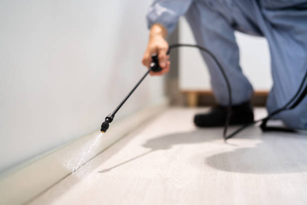 Licensed Ant Control service in De Graff, OH - Show Me Pest Control