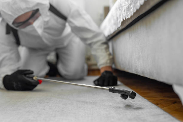 Professional Ant Control technician working in De Graff, OH